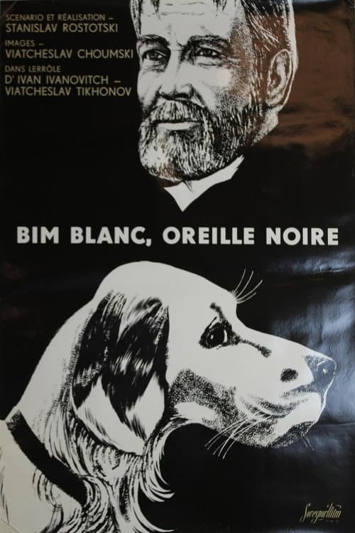 White Bim Black Ear
