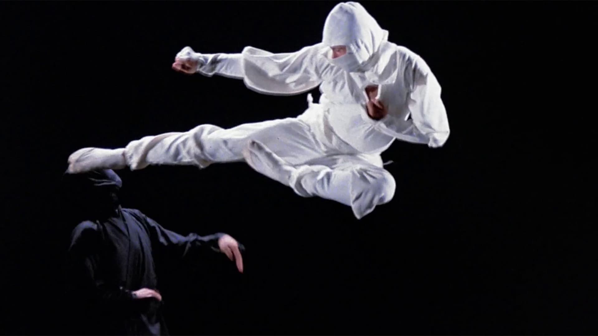L'implacable ninja